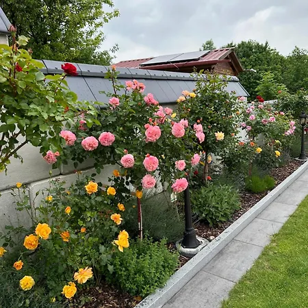 Theresiengarten Bad Wörishofen